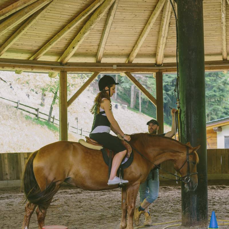 5 Horse riding lessons